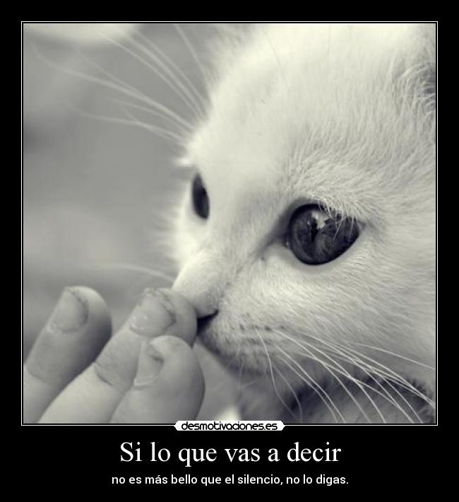 Si lo que vas a decir -