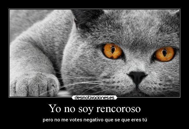 Yo no soy rencoroso - pero no me votes negativo que se que eres tú
