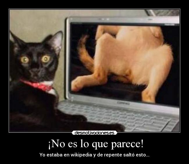 ¡No es lo que parece! - Yo estaba en wikipedia y de repente saltó esto...