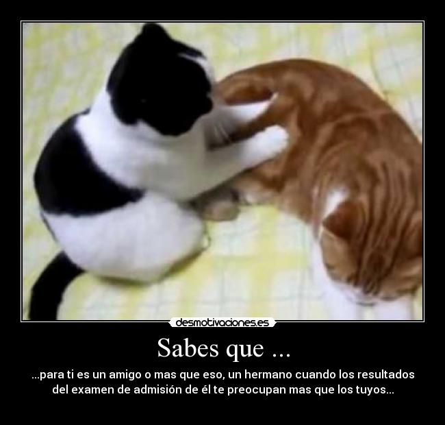 Sabes que ... - ...para ti es un amigo o mas que eso, un hermano cuando los resultados
del examen de admisión de él te preocupan mas que los tuyos...