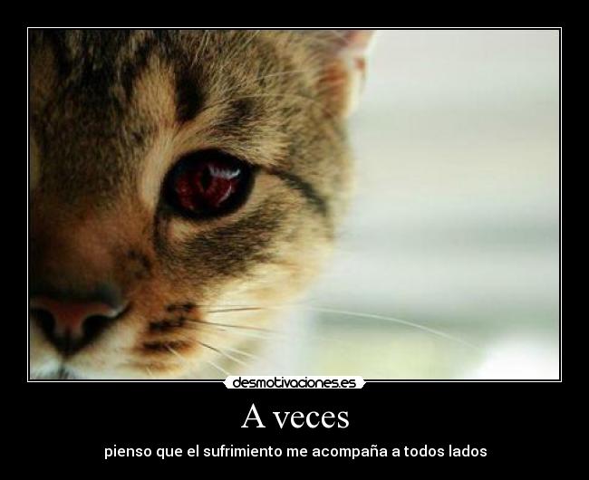 A veces - pienso que el sufrimiento me acompaña a todos lados