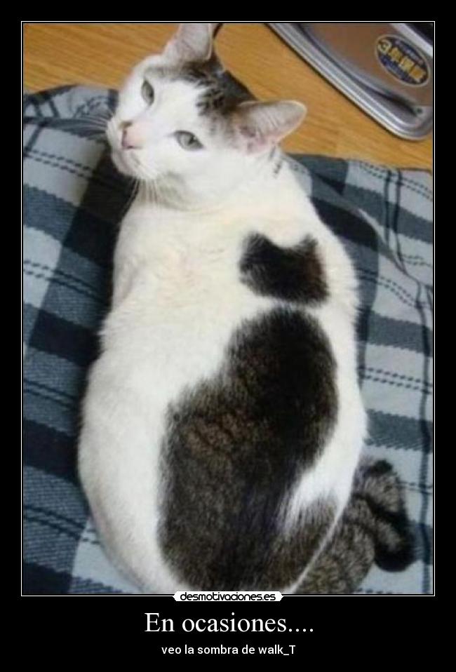 En ocasiones.... - veo la sombra de walk_T