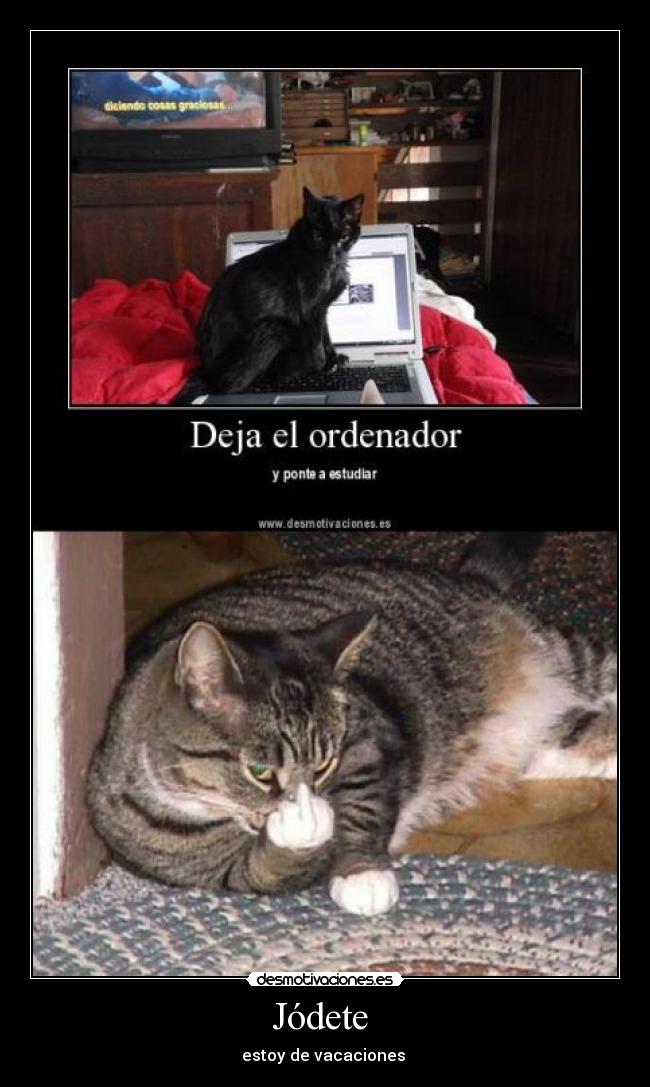 Jódete  - estoy de vacaciones 