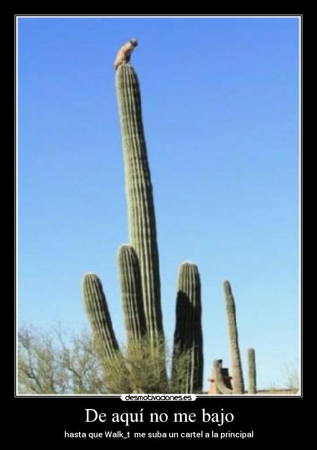 De aquí no me bajo -