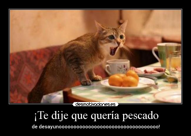 ¡Te dije que quería pescado - de desayunoooooooooooooooooooooooooooooooooo!