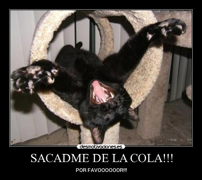 SACADME DE LA COLA!!! - 