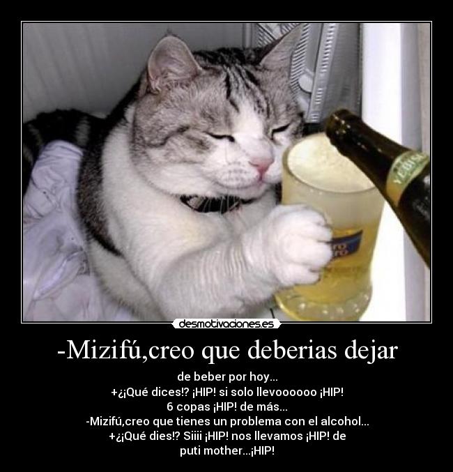 -Mizifú,creo que deberias dejar - 