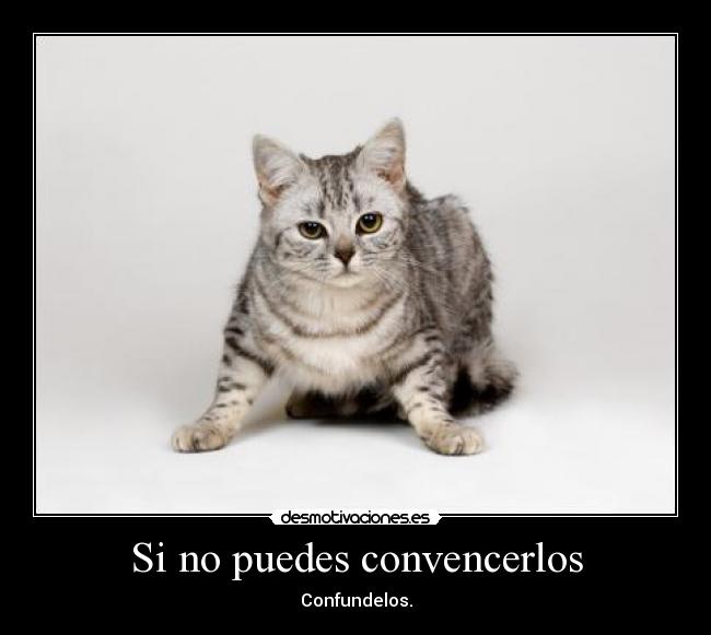 Si no puedes convencerlos -