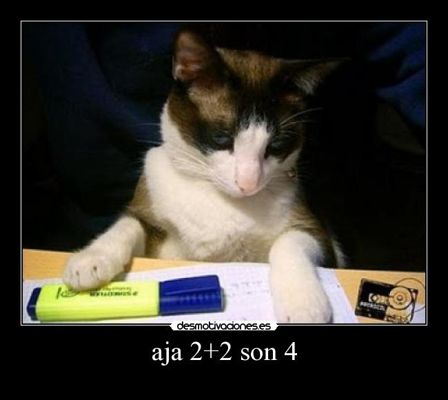 aja 2+2 son 4 -