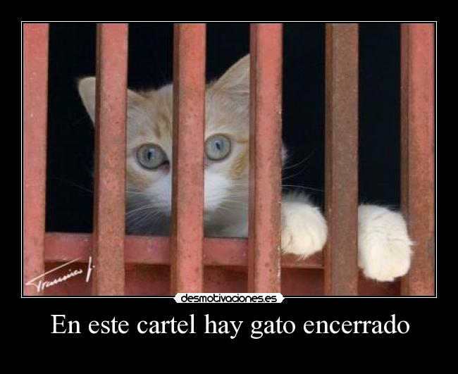 En este cartel hay gato encerrado -