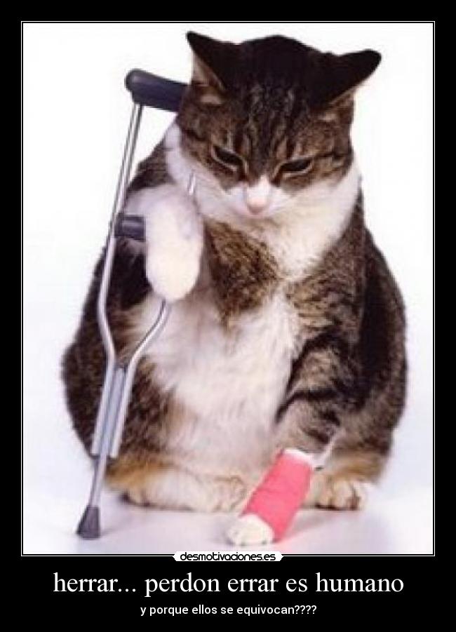 carteles animales desmotivaciones