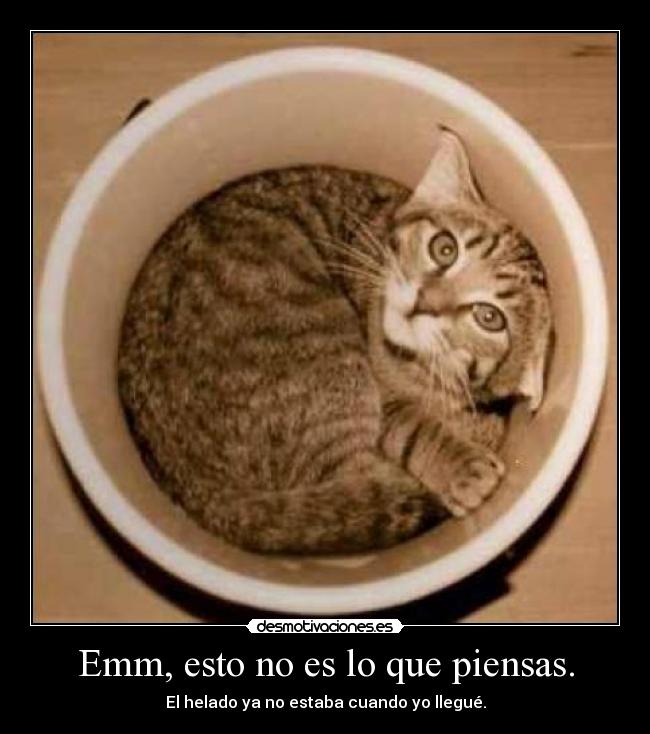 Emm, esto no es lo que piensas. - 