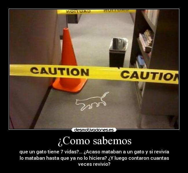 ¿Como sabemos - que un gato tiene 7 vidas?... ¿Acaso mataban a un gato y si revivía
lo mataban hasta que ya no lo hiciera? ¿Y luego contaron cuantas
veces revivio?