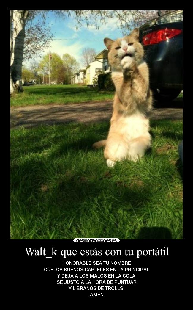 Walt_k que estás con tu portátil -
