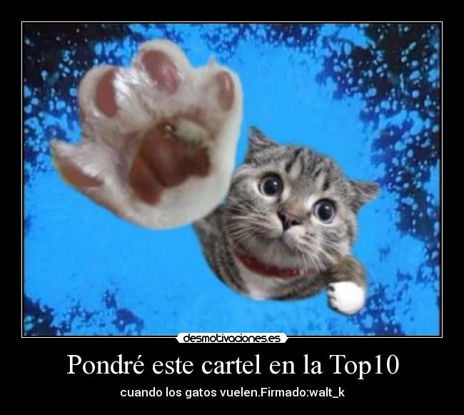 Pondré este cartel en la Top10 -