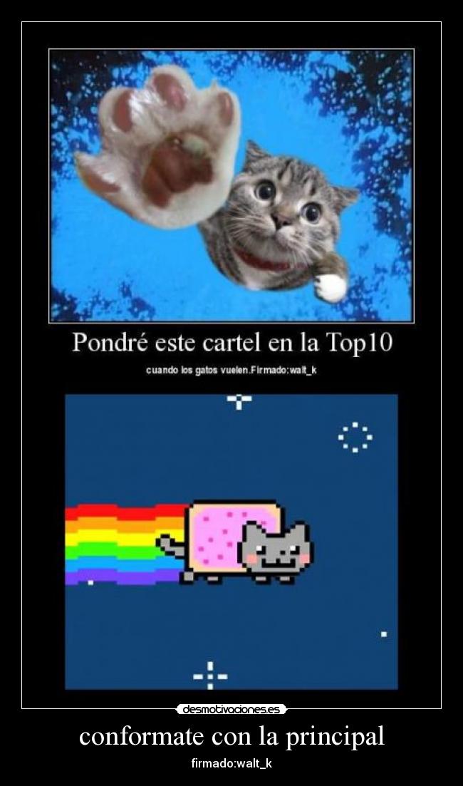 conformate con la principal -