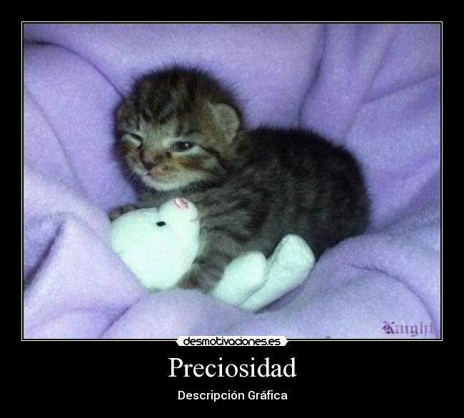 Preciosidad - 