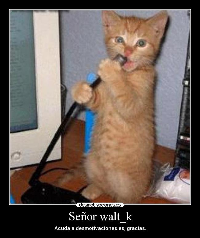 Señor walt_k - Acuda a desmotivaciones.es, gracias.