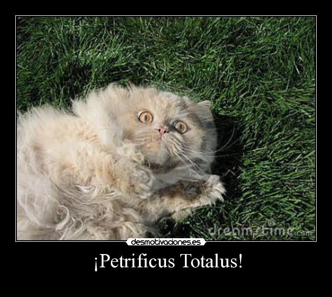 ¡Petrificus Totalus! - 