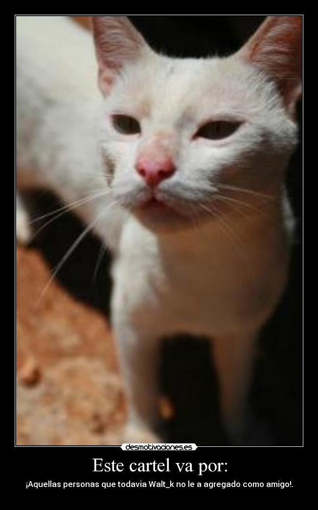 Este cartel va por: - 