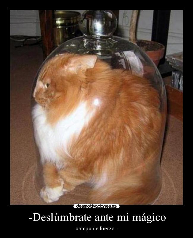 -Deslúmbrate ante mi mágico - campo de fuerza...