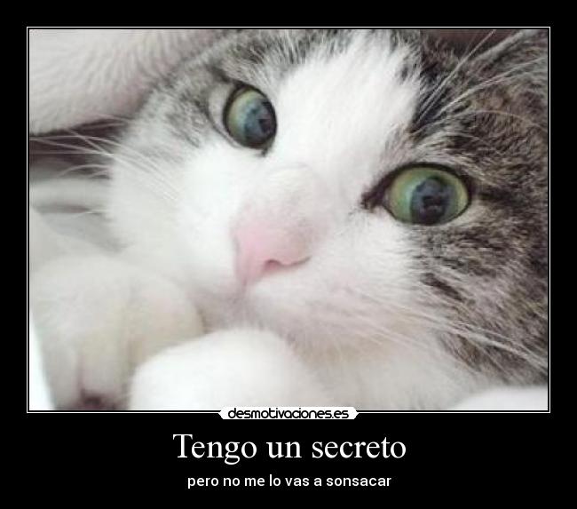 Tengo un secreto - 