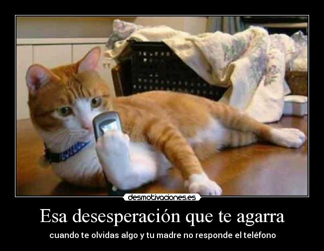 Esa desesperación que te agarra - cuando te olvidas algo y tu madre no responde el teléfono