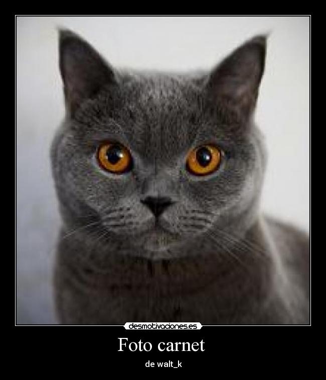 carteles dee desmotivaciones