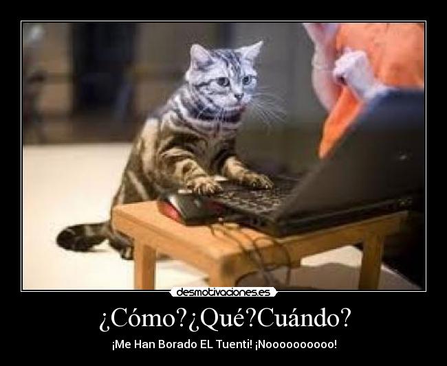 ¿Cómo?¿Qué?Cuándo? -