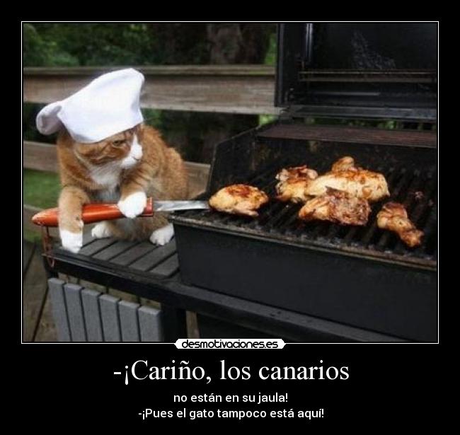 carteles gatoscanarios desmotivaciones