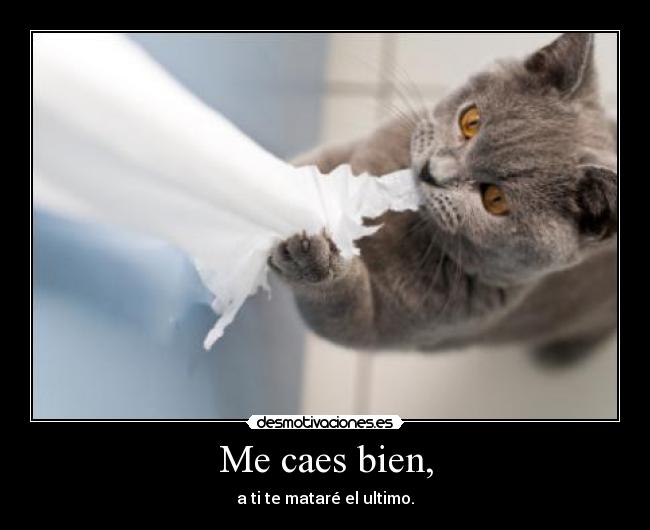 Me caes bien, - a ti te mataré el ultimo.