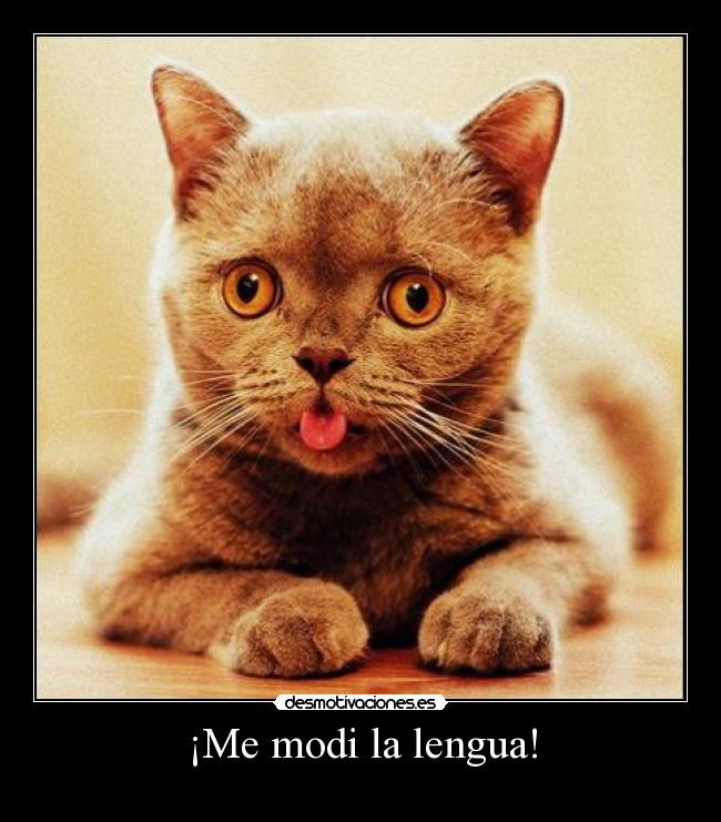 ¡Me modi la lengua! -