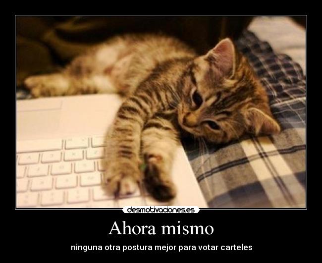 Ahora mismo - ninguna otra postura mejor para votar carteles