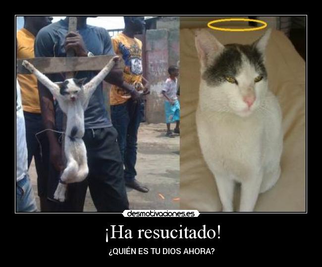 ¡Ha resucitado! -