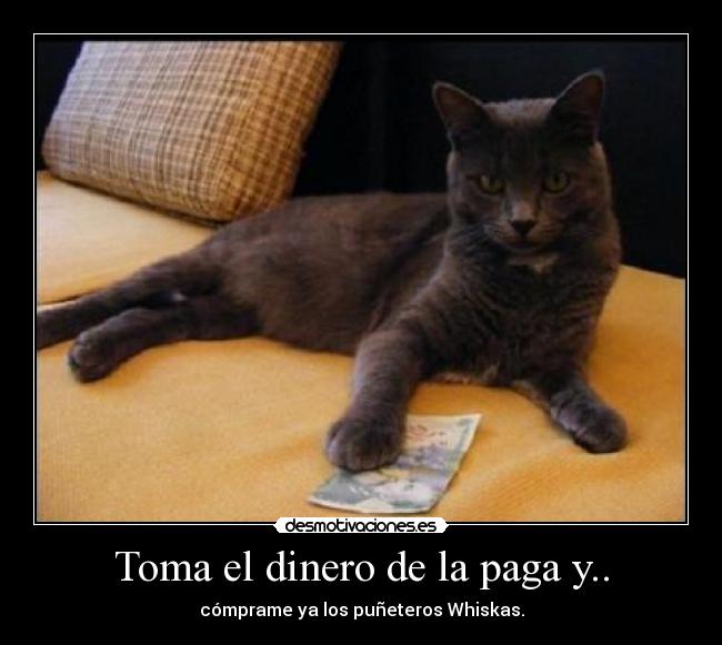 Toma el dinero de la paga y.. - 