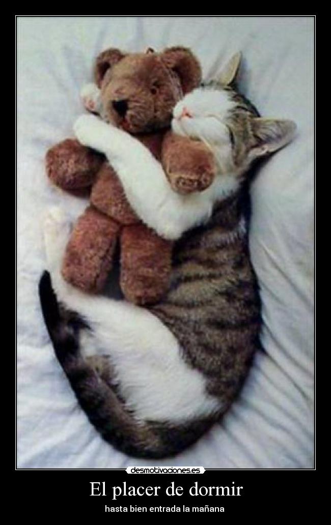 El placer de dormir - hasta bien entrada la mañana