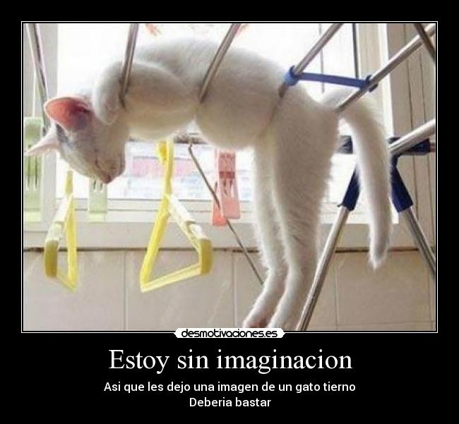 Estoy sin imaginacion - 