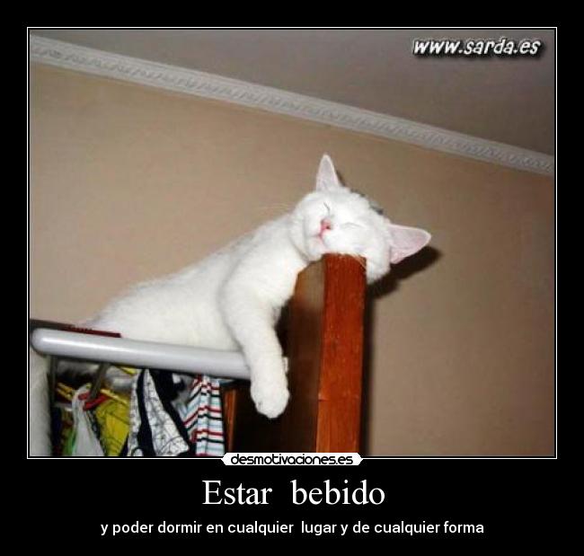 Estar bebido - y poder dormir en cualquier lugar y de cualquier forma