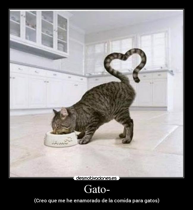 Gato- - (Creo que me he enamorado de la comida para gatos)