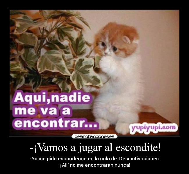 -¡Vamos a jugar al escondite! - 