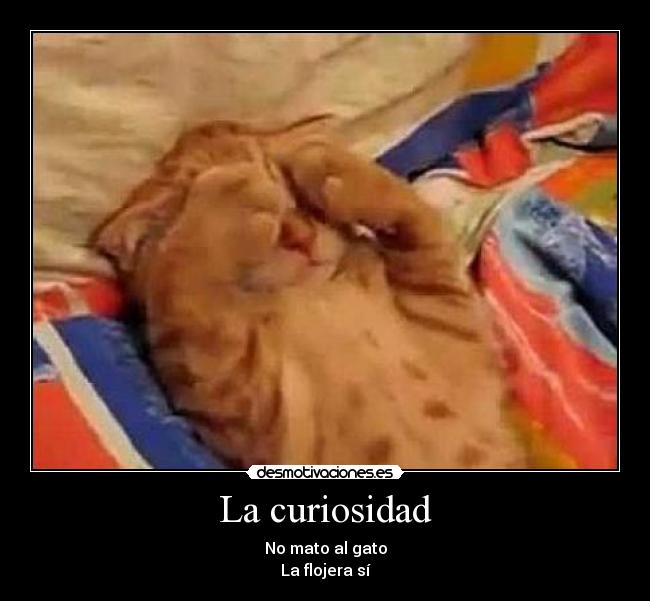 La curiosidad - 