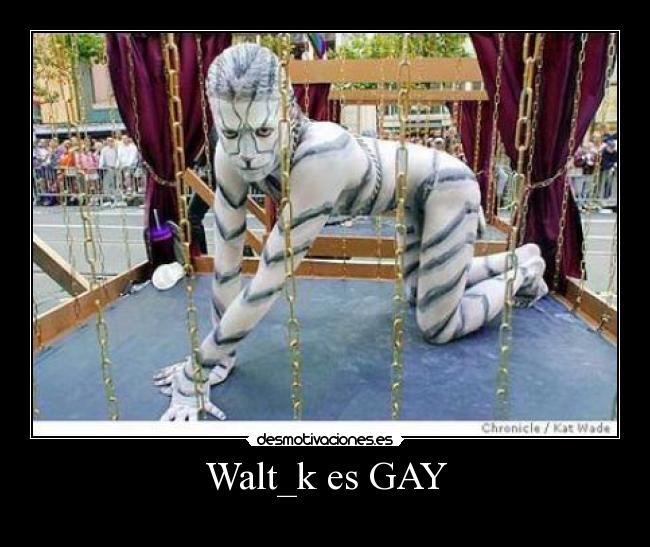 Walt_k es GAY -