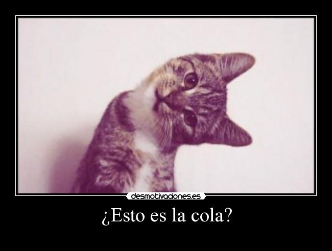 ¿Esto es la cola? -
