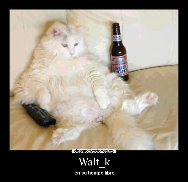 Walt_k - en su tiempo libre