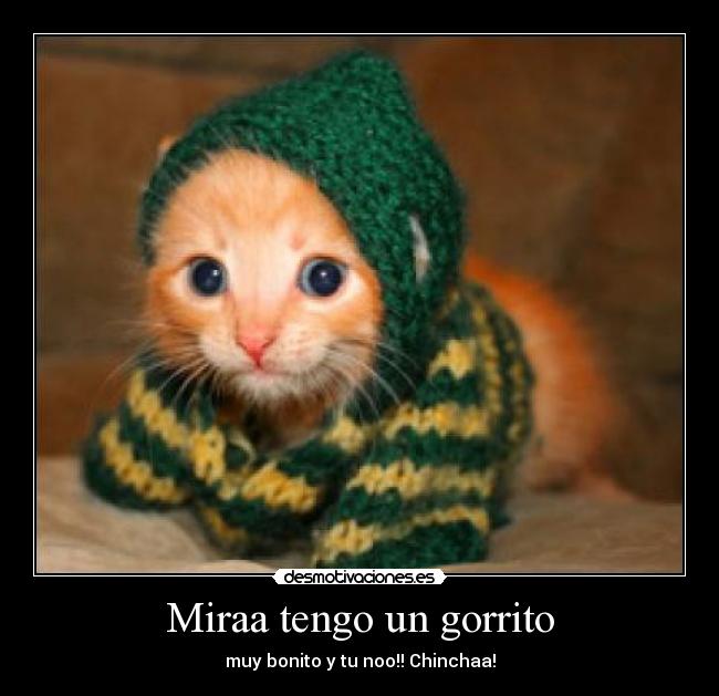 Miraa tengo un gorrito - 
