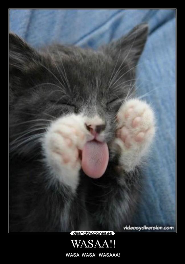 WASAA!! - 