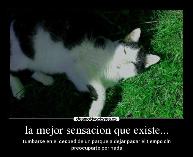 carteles parque tiempo desmotivaciones