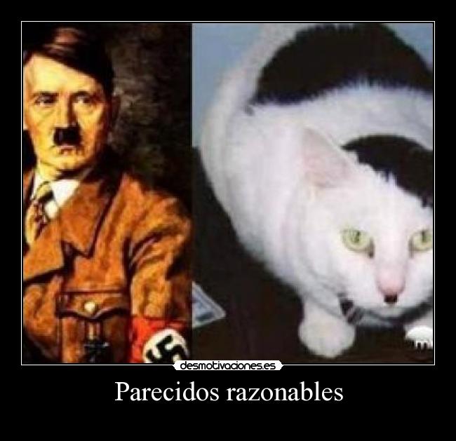 Parecidos razonables - 