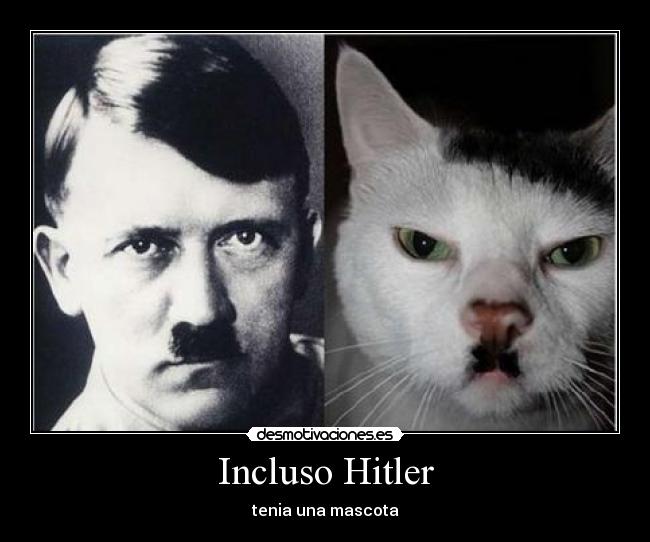 Incluso Hitler -