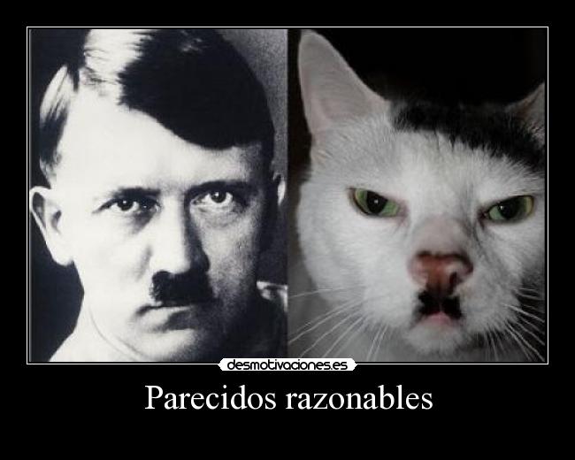 Parecidos razonables - 